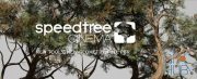 SpeedTree Modeler 8.3.0 Cinema Edition Win x64