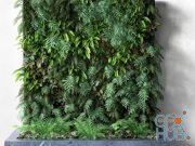 CGTrader – Vertical Garden 1 3D model