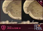 Topaz JPEG to RAW AI 2.1.3t Win x64