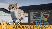 Unreal Engine – AnimX: Advanced Cats