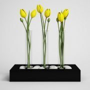 Flower arrangement with tulips