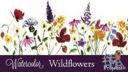 Skillshare - Watercolor Wildflowers: 2 Fun Projects