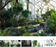Globe Plants – Bundle14 – Tropical Garden 02