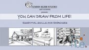 Skillshare – You Can Draw from Life! Essential Skills and Exercises