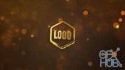 3D Dark Gold Logo 33816536