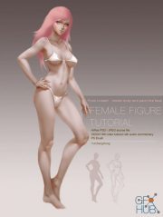 Gumroad – Paint Female Body Tutorial by Yu Cheng Hong