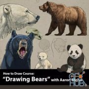 CreatureArtTeacher – How to Draw Bears with Aaron Blaise