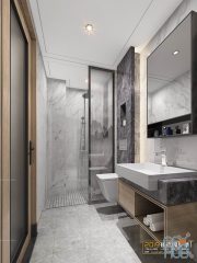 Modern bathroom interior 054