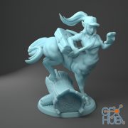 Dordesh The Centaur – 3D Print