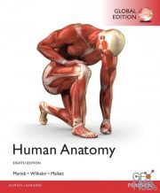Human Anatomy, Global Edition, 8th Edition (True PDF)
