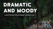 Skillshare – Dramatic and Moody Processing Lightroom Workflow