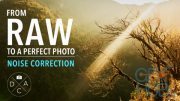 Digital Art Classes – RAW Editing – Learn the Secrets of Effective Noise Correction