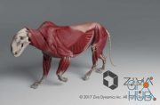 Ziva Dynamics Ziva VFX v1.7 for Maya 2017 to 2019 Win x64