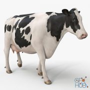 Cow PRO ( Holstein )