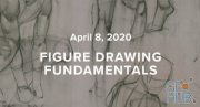 SVS Learn – Figure Drawing Fundamentals