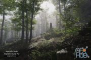 Unity Asset – Forest Environment – Dynamic Nature v1.5f2