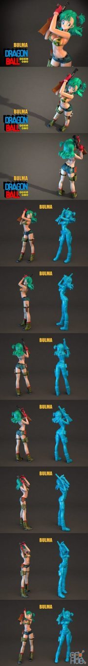 Bulma – 3D Print