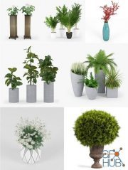 CGTrader – Plants Set 3D-Models Collection Pt. 2