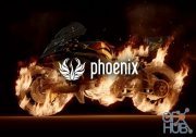 Chaos Group Phoenix FD 4.0 for Maya 2016-2019 Win