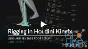 Rigging in Houdini Kinefx