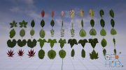 Unreal Engine Asset – Klian Photorealistic Leaves / Foliage Pack 4K v4.25