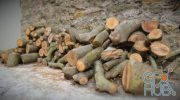 Logs Pile (obj, tex)