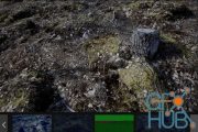 Unreal Engine Marketplace – Forest Floor