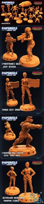 Papsikels Miniatures - Cyberpunk February 2021 – 3D Print