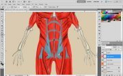 Udemy – Easy Steps to Figure Drawing – Anatomy of Male & Female Body