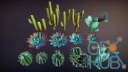 Unreal Engine – Cacti