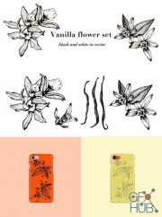 Vanilla Flower Set – Black and White in Vector (EPS)