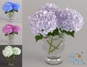 Hydrangea bouquet 3 colour