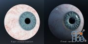 Blender Market – Photorealistic eye generator 2.8 + eevee update