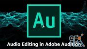 Skillshare – Audio Editing 101: Basics in Adobe Audition