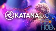 The Foundry Katana 5.0v4 Win x64