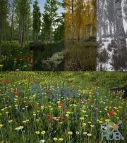 CGTrader – Scanned Poplar and Aspen Forest with Seasons for Unreal Engine 4 Low-poly 3D model
