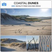 PHOTOBASH – Coastal Dunes