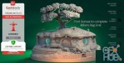 Hobbiton Bonsai Pot – 3D Print