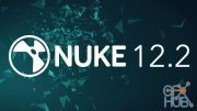 The Foundry Nuke Studio 12.2v5 Win x64
