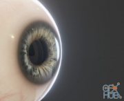 FlippedNormals – Realistic Eye Pack