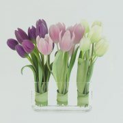 Three bouquets of tulips