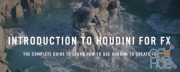 Introduction to Houdini For FX Weeks 1 – 6