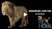 Grooming Lion Fur in Houdini