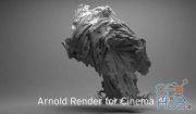 Solid Angle Cinema 4D To Arnold 2.5.2 for Cinema 4D R19-R20