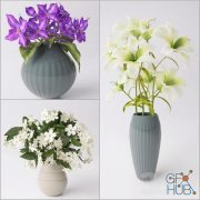 Clematis, jasmine and lilies in vases