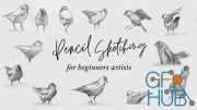 Pencil Sketching for Beginner Artists: Improve Your Technique With Quick & Loose Animal Drawings