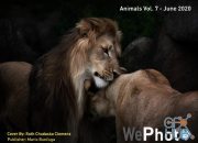 WePhoto Animals – June 2020 (PDF)