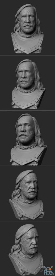 Sandor Clegane (The Hound) Bust – 3D Print