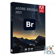 Adobe Bridge 2022 v12.0.0.234 Win x64