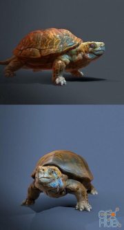 Turtle PBR